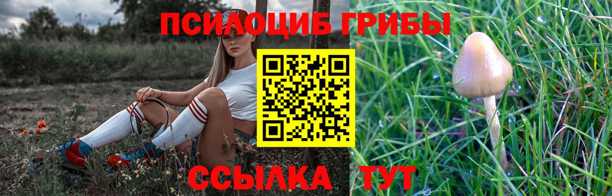Псилоцибиновые грибы мухоморы  Вход с VPN  Лесозаводск 