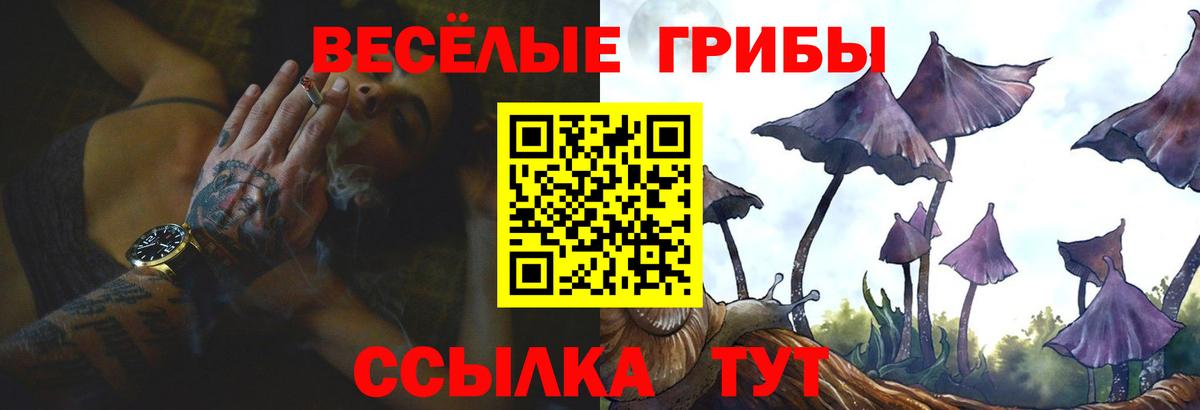 Галлюциногенные грибы MAGIC MUSHROOMS Лесозаводск
